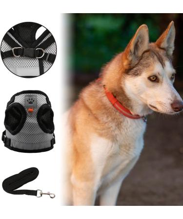 Luckious Brand Cat Harness and Lead Set - Escape-Proof Walking Vest with Leash for Small to Medium Cats (Grey S/M/L) - Buy Online on GoSupps.com