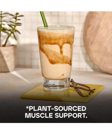 Bulk Vegan Protein Powder Vanilla 500g - New & Improved Formula - 14 Servings - Buy Online on GoSupps.com
