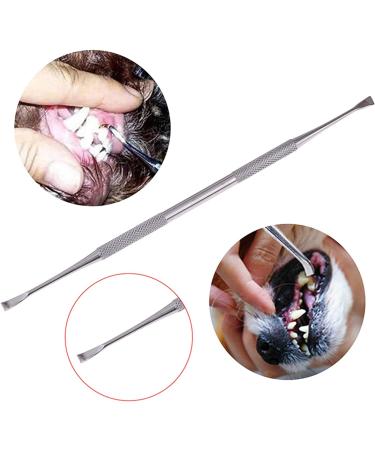Symphonyw Stainless Steel Dog Calculus Remover - 2PCS Dental Teeth Cleaning Tools - Buy Online on GoSupps.com