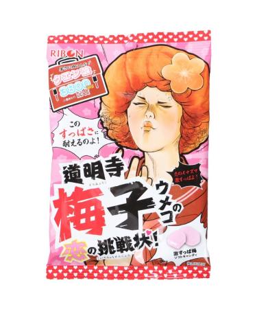 Nobel Japanese Candy Nostalgic Super Sour Lemon Hard Candy Chewy Bonbons Filled Candy Japanese Snacks Box & Candy Gift for Journey Through Asia Imported from Japan (Plum - 60g Bags (Pack of 2))