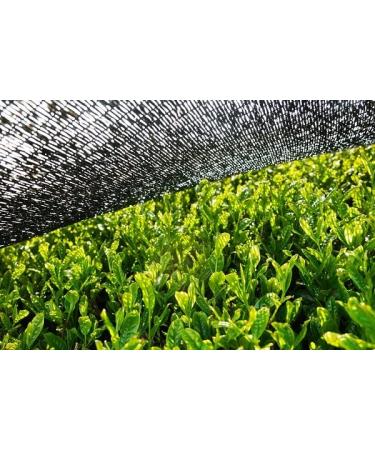 Buy Organic Matcha Powder 200g - 100% Natural Premium Japanese Green Tea | No Additives - bioKontor - Buy Online on GoSupps.com