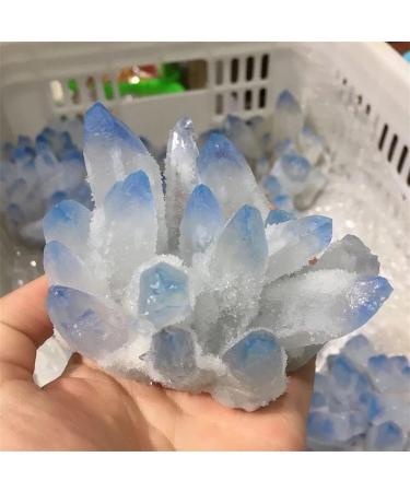 Natural Crystal Rough 500-650g Natural Blue Phantom Quartz Stone Crystal Cluster for Decoration Gift 1pc 1pc 500-650g - Buy Online on GoSupps.com