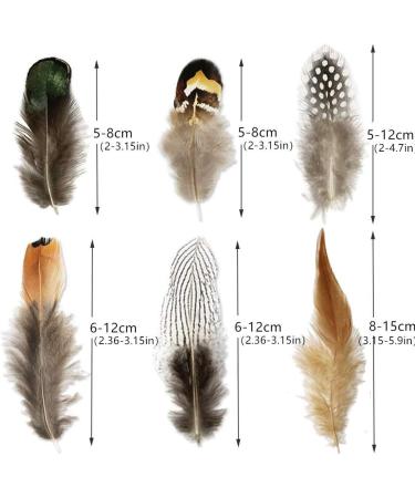 180pcs Natural Feathers Assorted for Dream Catcher Crafts - 6 Styles/180 Pcs - Buy Online on GoSupps.com