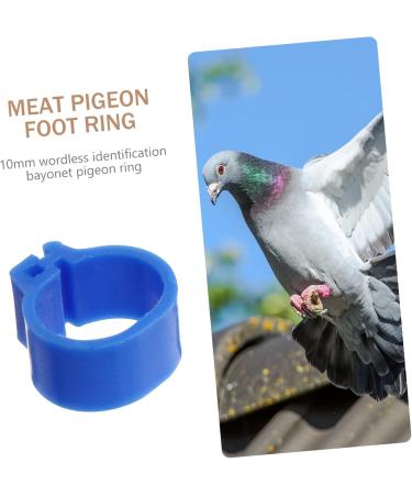 FRCOLOR 200 Pcs Meat Pigeon Anklet Plastic Clips Poultry Leg Ring Pigeons Parrot Bird Ankle Ring 1.3X1.3CMx2pcs Dark Bluex2pcs - Buy Online on GoSupps.com