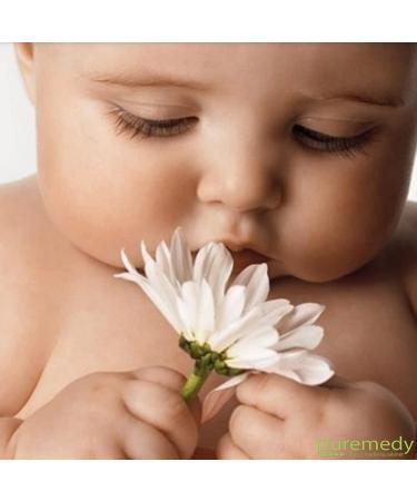 Puremedy Baby Diaper Rash Healing Ointment 2 oz - Vegan Homeopathic Balm for Dry, Itchy, Flaky Skin - Buy Online on GoSupps.com