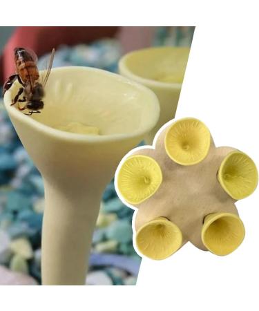 Drinking Cup for Pollinators Colorful Bee Insect Drinking Cup Bee Insect Drinking Cup Bee Cup Drinking Fountain for Yard Decoration Bees Need A Safe Place to Drink (Purple) - Buy Online on GoSupps.com