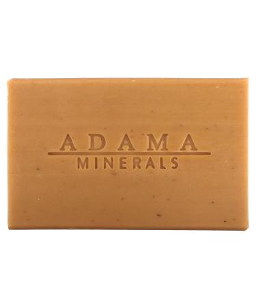 Zion Health Sandalwood Shampoo Bar - 6 oz | Nourishing Eco-Friendly & International Shipping Available - Buy Online on GoSupps.com