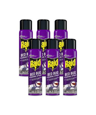 Raid Bed Bug Foaming Spray for Indoor Use Non-Staining 16.5 Ounce (Pack of 6)