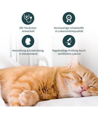 Purapep Comfort Cat Tabs - Natural Sedative with Tryptophan Calcium & B Vitamins for Stress Relief | 120g - Delicious Poultry Flavor - Buy Online on GoSupps.com