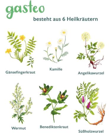 Gasteo Stomach Drops - 50ml | 6 Unique Gastrointestinal Medicinal Plants for Instant Relief - Shop Internationally - Buy Online on GoSupps.com