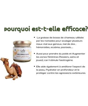 Suif de Bosse de Chameau - Camel Tallow - 100% Pur - pour peau cheveux et alimentation - Hydratation profonde pour visage et corps- Hydratant Biologique pour peau s che et gerc e - Buy Online on GoSupps.com