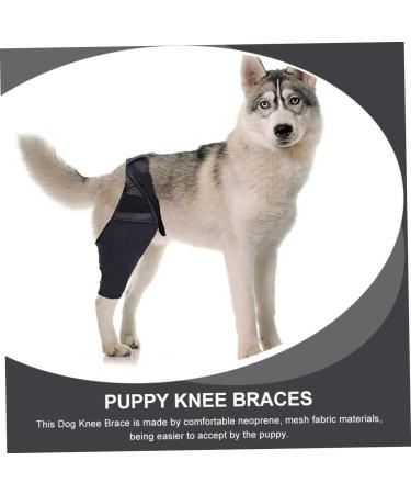 GANAZONO Pet Injury Supply Comfy Dog Acl Puppy Knee Comfortable Elbow Pads Neoprene Fabric L 1 - Buy Online on GoSupps.com