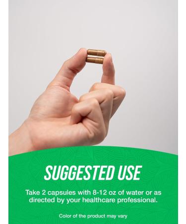 BulkSupplements.com Shilajit Capsules - Fulvic Acid Supplement Shilajit Extract Shilajit Supplement - Gluten Free 2 Capsules per Serving 240 Count (Pack of 1) - Buy Online on GoSupps.com