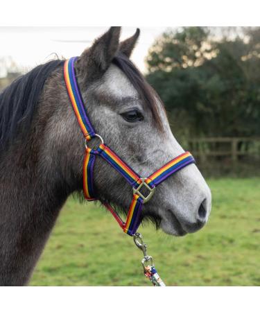 Cameo Equine Quality Padded Headcollar & Strong Leadrope - Comfortable & Stylish Rainbow Pony