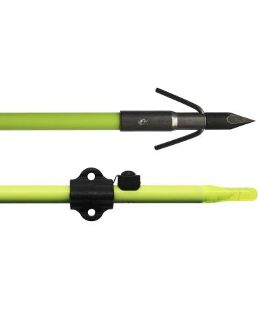 Muzzy Classic Fiberglass Bowfishing Fish Arrow - GREEN Carp Point - Buy Online on GoSupps.com