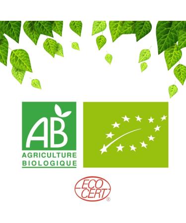 Organic Black Tea Lapsang Souchong Smoked Black Tea Loose Black Tea 100 gram bag with Zip 40 Cups 100% Agricult - Buy Online on GoSupps.com