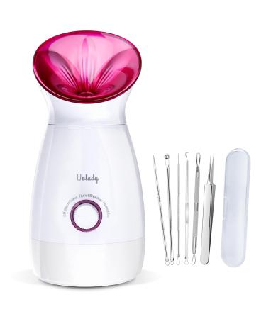 Wolady Wolady Nano Ion Spa Facial Spray 3 in 1 Function Removable 200 ml Spa Treatment Suitable for Sauna Humidifier Pore Cle