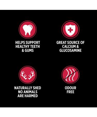 Nutrience Grain-Free Sub-Zero Cabin Chews Antler Sticks Dog Treats Prarie Red Beef 5 pcs 110 g (3.9 oz) - Buy Online on GoSupps.com