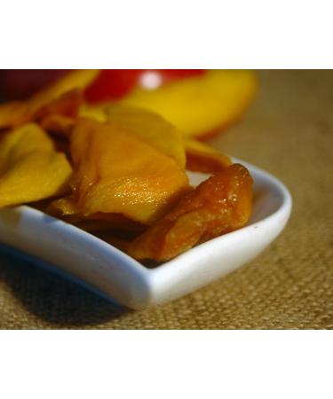 Naturix24 Naturix24 Mango Mango Discs Sugar Free 100 g Bag