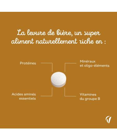 Levure de Bi re 1100 mg Efficacit Prouv e Sur les Cheveux Pousse Cheveux Ongles Peau - Avec Zinc S l nium Vitamines B 120 g lules - 2 Mois Vegan - Fabriqu en France - Vitavea - Buy Online on GoSupps.com