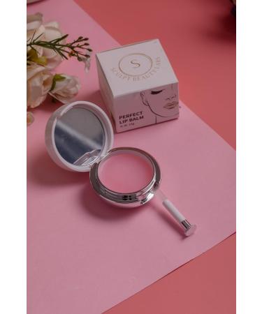 S SCULPT BEAUTY LABS Perfect Lip Balm for and Shine & Hydrate Dry Lips Moisturizer for Lips Care with Rose Oil & Vitamin E Pink - Buy Online on GoSupps.com