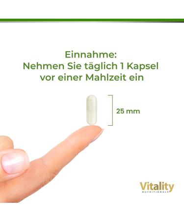 Taurin 1000 mg Capsules - Vegan Lactose-Free Gluten-Free | 4-Month Supply - Vitality Nutritionals by Vitaminexpress - Buy Online on GoSupps.com