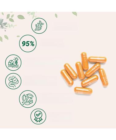 Pure turmericcurcumin supplement for better absorption - Buy Online on GoSupps.com