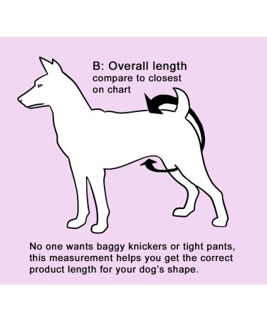 Glenndarcy Female Dog Diapers - Waterproof Medium Pants (Black) | Shop Now for Best Quality Dog Care - Buy Online on GoSupps.com