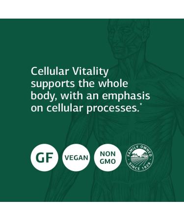 Standard Process Cellular Vitality - Essential Cellular Support with Thiamine, Biotin, CoQ10, and Ginseng - 90 Capsules - Buy Online on GoSupps.com