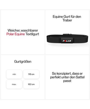 Polar Equine H10 Heart Rate Monitor Strap - Black Trotting Gear for Horses and Equestrian Activities - Buy Online on GoSupps.com