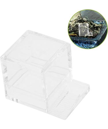 Toddmomy 3pcs Pet Water Feeder Insect Water Bowl Water Bowl for Ants Water Feeding Cup for Ants Nest Plastic - Buy Online on GoSupps.com