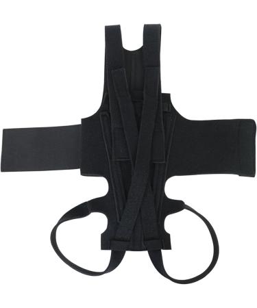 Back Brace for Dogs | Breathable Pet Back Bracer for IVDD | Back Support Rehabilitation Easy to Wear and Off  - Buy Online on GoSupps.com