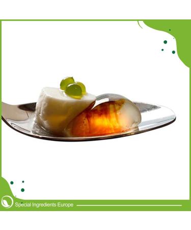 Special Ingredients Alginate de Sodium en poudre 100g - Extrait d algue - paississant mulsifiant & am liorateur de texture - Convient aux vegans & v g tariens - Emballage recyclable 100 g (Lot de 1) - Buy Online on GoSupps.com