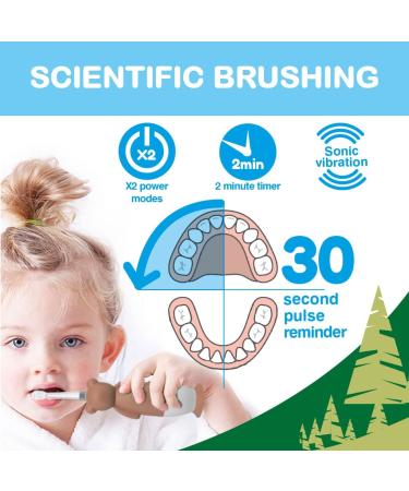 Brush-Baby WildOnes Kids Electric Bear Toothbrush | Rechargeable, 3 Brush Heads, USB Charging Cable | Ages 0-10 - Buy Online on GoSupps.com