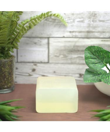 Natural Aloe Vera Melt and Pour Soap Base - Cosmetic Grade 2lb for DIY Projects Shop Internationally - Buy Online on GoSupps.com