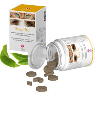 Reno Pro 30 tablets, Complementary food for Dogs, Cats and NAC, to PROTECT the Kidneys, Rich in Green TEA, ORTHOSIPHON, Gingko BILOBA, Omega 3, LESPEDEZA, Vitamin E and CoEnzyme Q10
