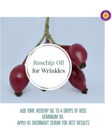 DEve Herbes Pure Rosehip Seed Oil - Natural Cold-Pressed Therapeutic Quality 630ml (21 oz) - International Shipping - Buy Online on GoSupps.com