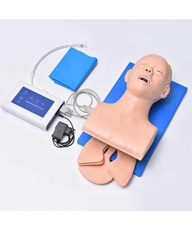 Buy Adult Intubation Teaching Model - Electronic Airway Management Trainer for Nursing | International Shipping Available - Buy Online on GoSupps.com