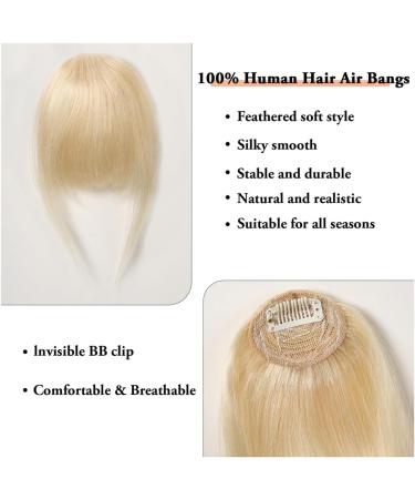 Bangs Hair Clip Clip in Bangs Remy Human Hair Wispy Bang Extention Fringe with Temples Blonde Glonde Hairpiece for Women Clip on Air Bang 4.5in Bangs Clip in Hair(Color:HLH1004-5) - Buy Online on GoSupps.com