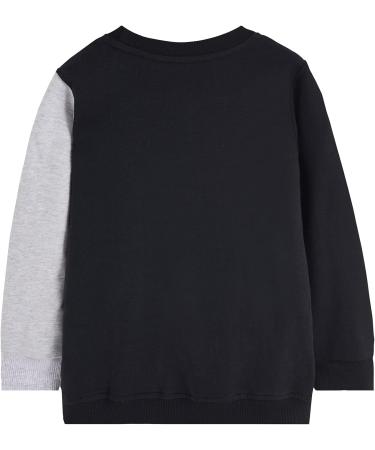 Kids Dinosaur Sweatshirt | Cotton Long Sleeve Pullover for Boys & Girls 5-6 Years | Casual Toddler Top - Buy Online on GoSupps.com