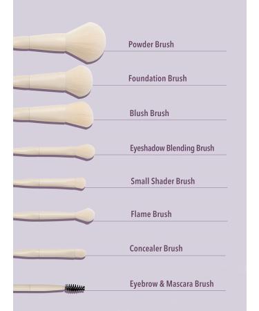SHEGLAM Pro Core Brush Kit - 8 Pcs Professional Makeup Brushes Set | Soft Face Eye Eyebrow & Foundation Brushes | Portable Travel Essentials for Flawless Makeup - Buy Online on GoSupps.com