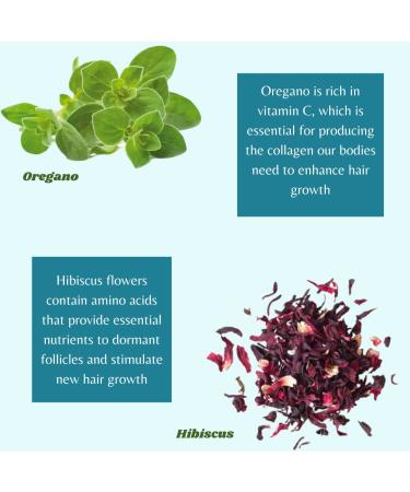 Cloves, Fenugreek, Rosemary Hair Growth Spray for Men and Women - Thickens, Repairs, and Strengthens Dry Hair with Aloe Vera, Oregano, Hibiscus - Balanced Hair Growth Enhancer - Buy Online on GoSupps.com