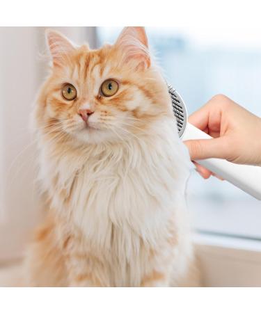 Decorhome Cat Care Brush - Portable Depilatory Tool for Long-Haired Pets | Remove Mats & Nodes Effortlessly - Buy Online on GoSupps.com