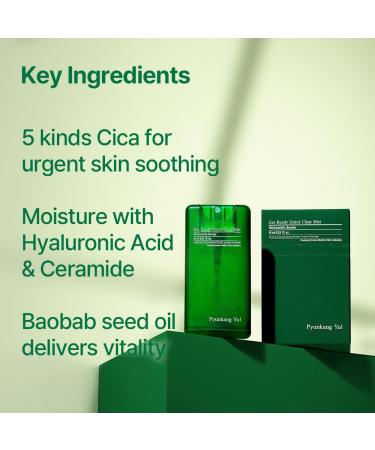Pyunkang Yul PKY Ultimate Get Ready Quick Clear Mist for Sensitive Skin Intensely Calms & Soothes Redness with Cica & Tea Tree Compact size Korean Skincare (0.51 Fl. oz 15ml) - Buy Online on GoSupps.com