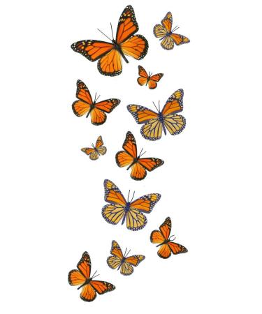 55 Monarch Butterfly Temporary Tattoos - Buy Online on GoSupps.com