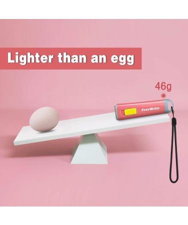 Everbrite Mini LED Flashlight - Coral Red 1W | Perfect for Camping & Gifts - 3 AAA Batteries Included - Buy Online on GoSupps.com