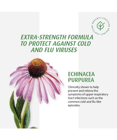 A.Vogel Echinaforce Extra Strength Echinacea Tablets - Immune Support for Cold & Flu Relief - 1200mg Organic Echinacea Chewable Gluten-Free Sugar-Free Safe for Pregnant & Breastfeeding Women 120 Tablets 120 count (Pack of 1) - Buy Online on GoSupps.com