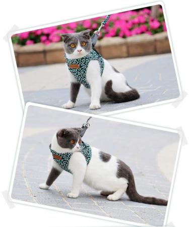 Etopars Cat Dishes & Leash Set | Adjustable Cat Vest & Outbreak-Proof Harness for Kittens & Puppies - XS Green - Buy Online on GoSupps.com