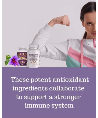 Best Menopause Support Supplement for Women | Perimenopause Relief | 60 Capsules - Buy Online on GoSupps.com