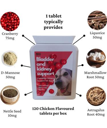 Cranberry Supplement For Dogs | Bladder Kidney & UTI Support | 120 Tablets - Buy Online on GoSupps.com